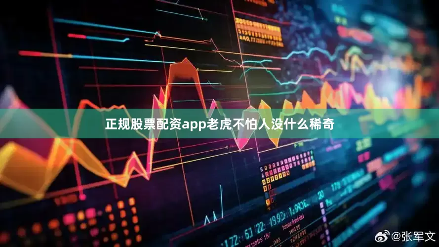 正规股票配资app老虎不怕人没什么稀奇