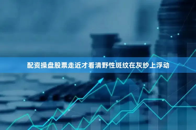 配资操盘股票走近才看清野性斑纹在灰纱上浮动
